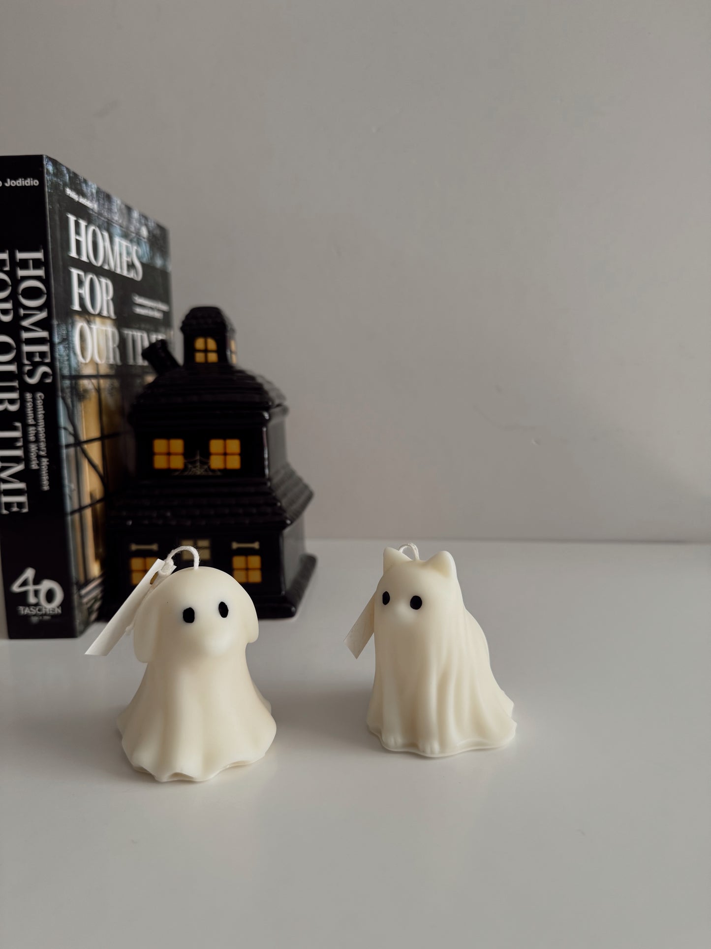 Doggy Ghost