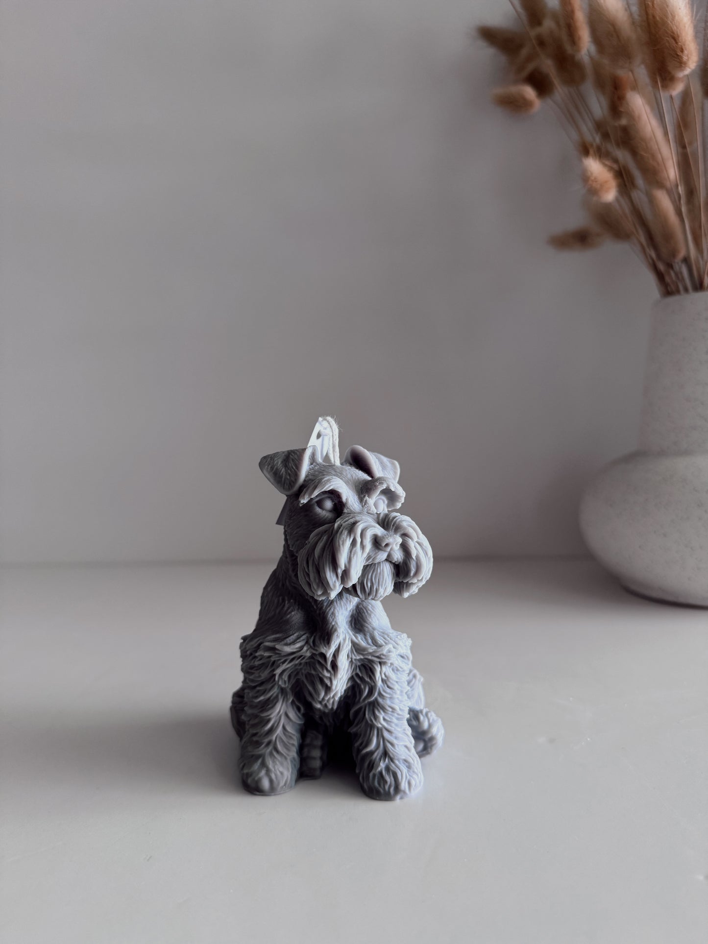Schnauzer Mini