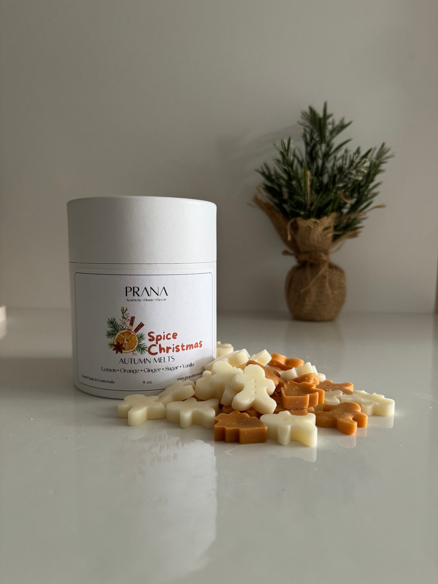 Wax Melts Bottle Christmas