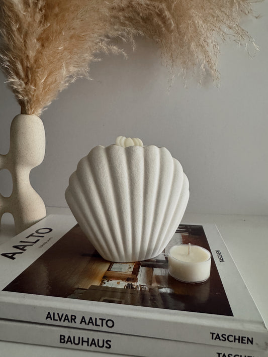 Seashell Burner