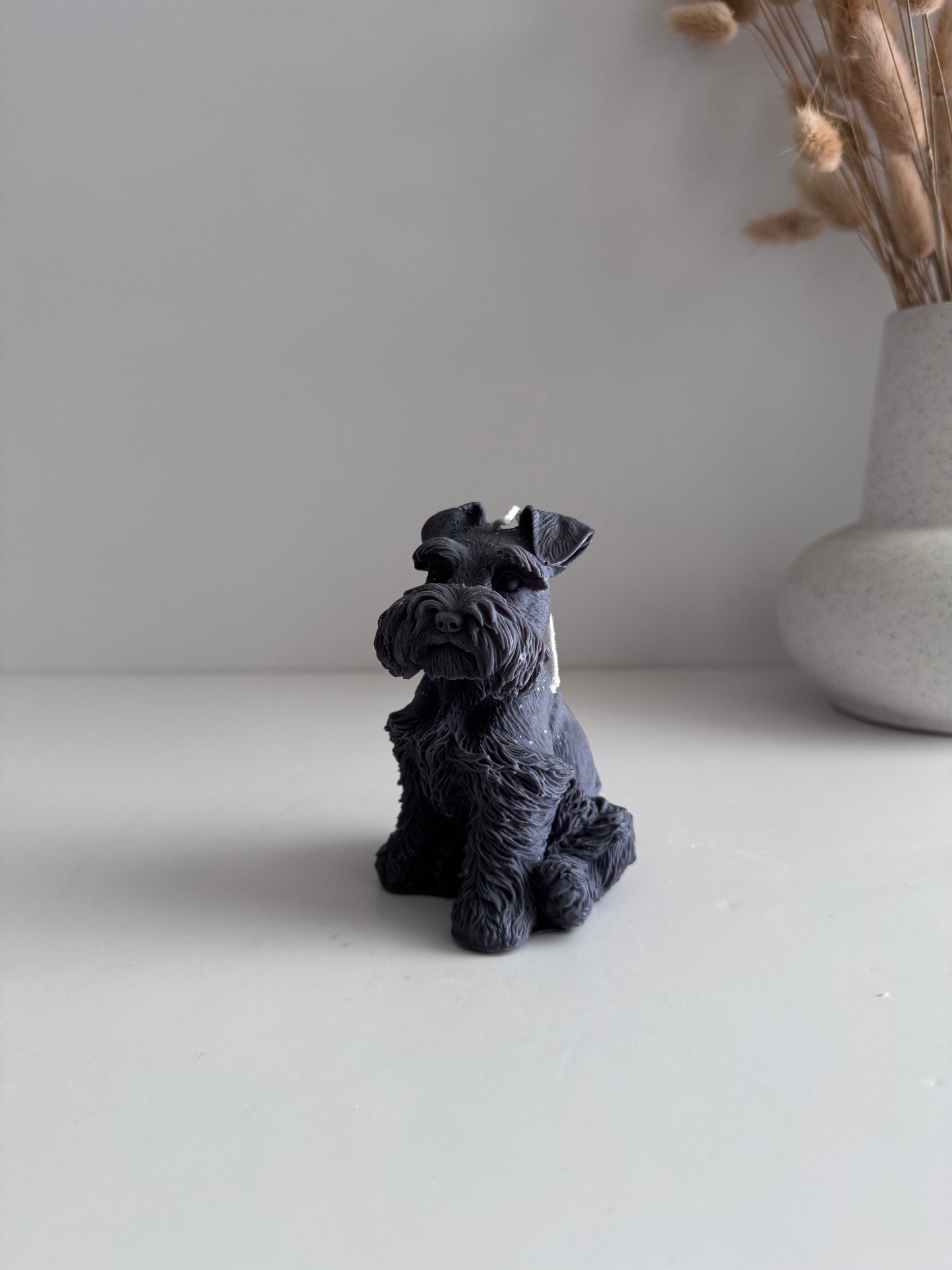 Schnauzer Mini