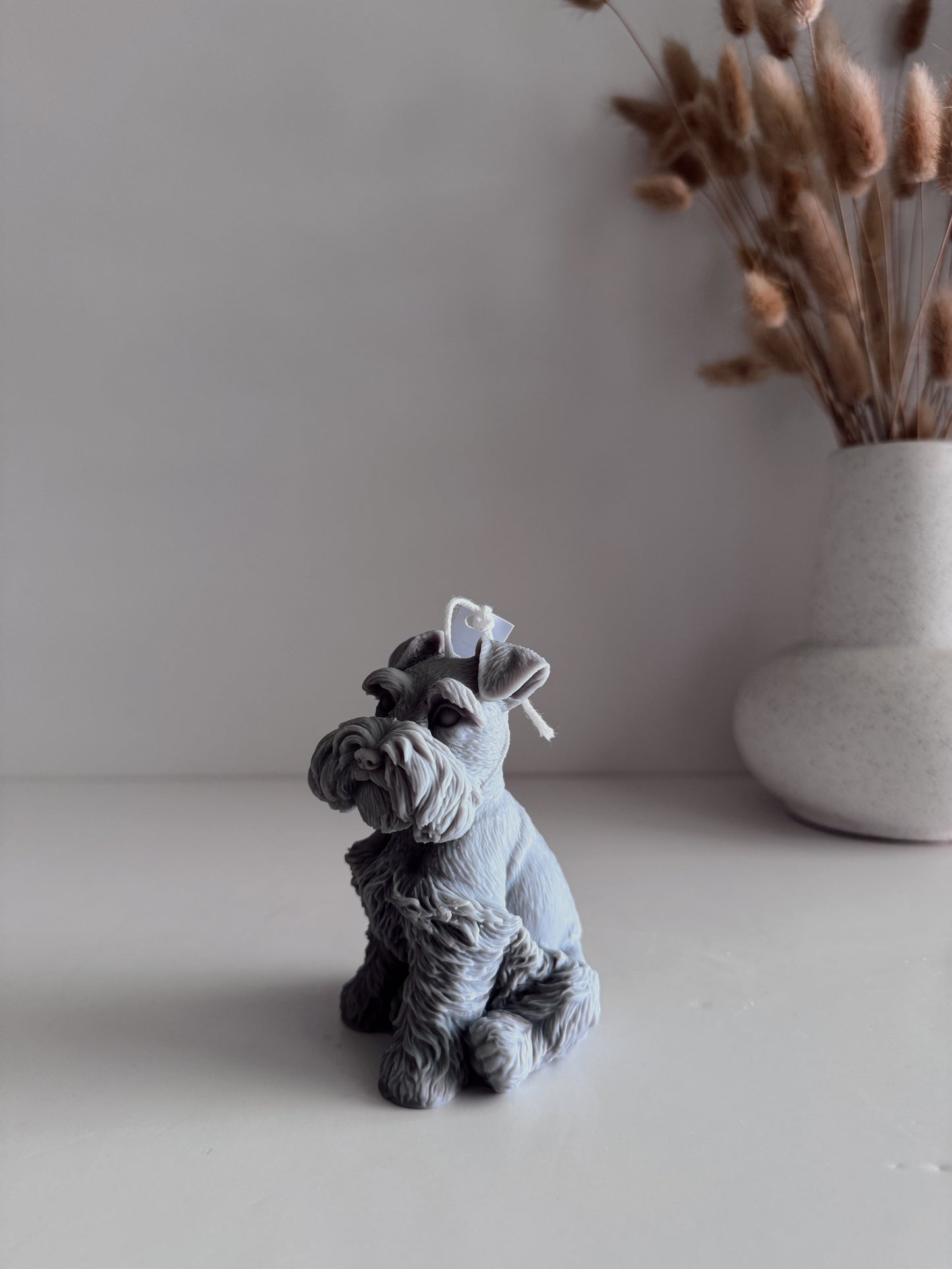 Schnauzer Mini