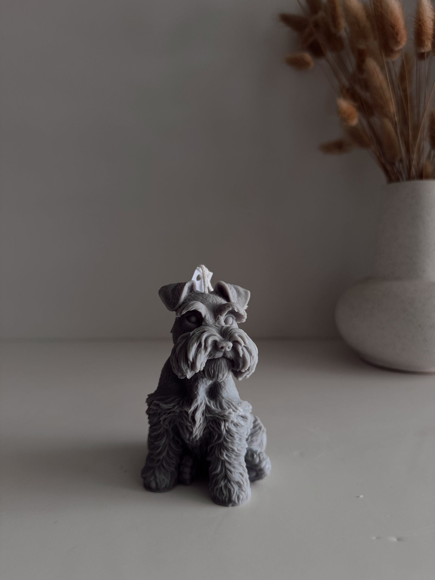 Schnauzer Mini