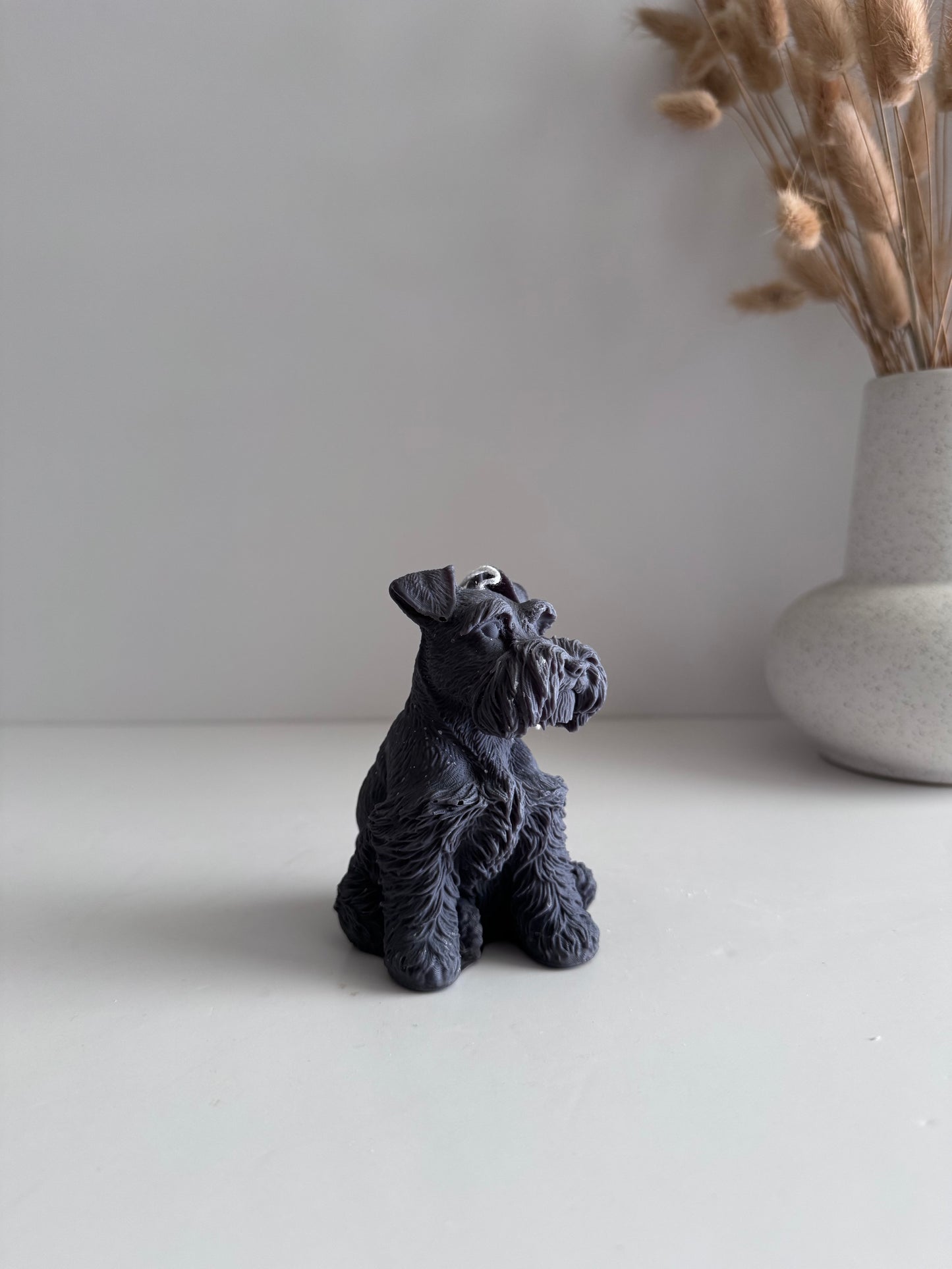 Schnauzer Mini