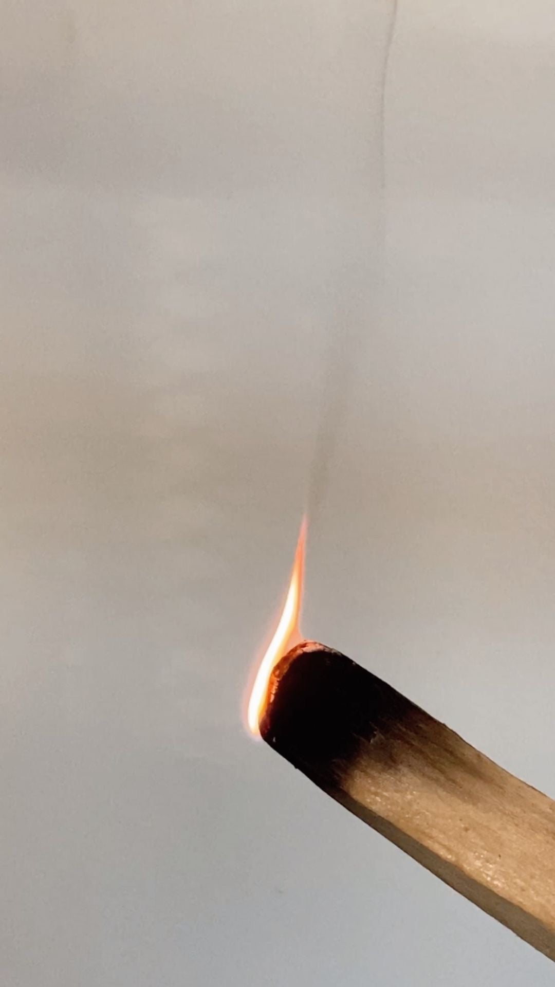 Palo Santo